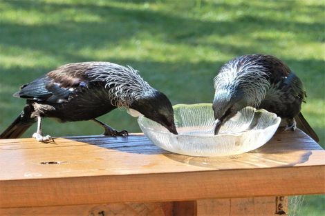 Photo of property in 215 Oxford Street, Ashhurst, 4810