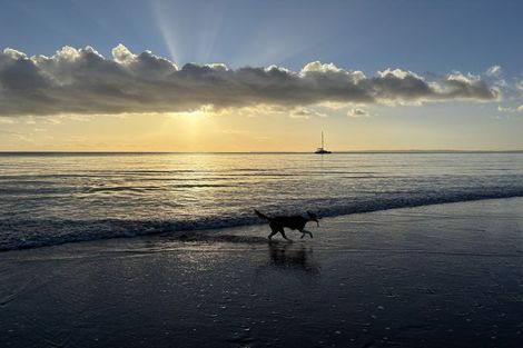 Photo of property in 155 Glenvar Road, Long Bay, Auckland, 0630