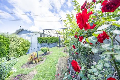 Photo of property in 21 Parore Street, Dargaville, 0310