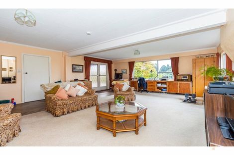 Photo of property in 209a Douglas Street, Highfield, Timaru, 7910