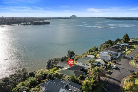 Photo of property in 52 Vine Avenue, Maungatapu, Tauranga, 3112