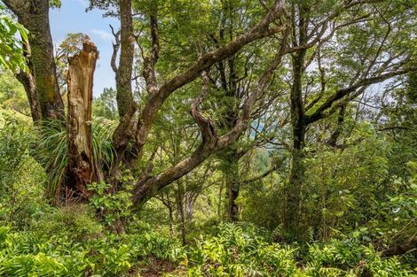 Photo of property in 70 Avro Road, Blue Mountains, Upper Hutt, 5371