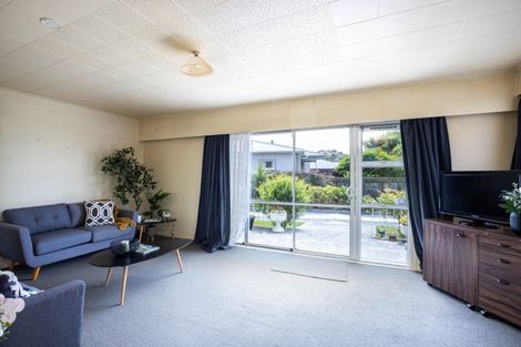 Photo of property in 113 Cracroft Street, Waitara, 4320