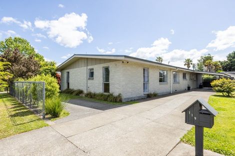 Photo of property in 119 Garnett Street, Raureka, Hastings, 4120