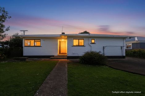 Photo of property in 106 Freyberg Road, Ruawai, 0530