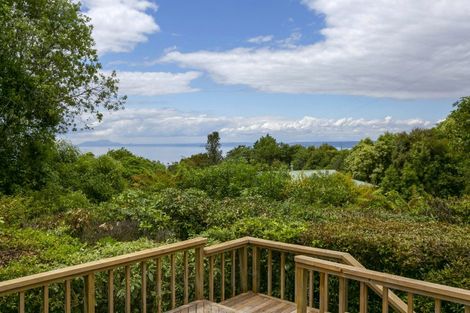 Photo of property in 62 Hauraki Terrace, Pukawa Bay, Turangi, 3381