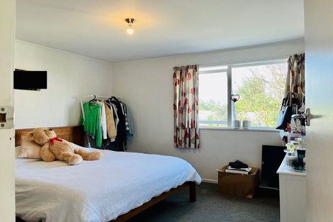 Photo of property in 24 Frangipani Avenue, Manurewa, Auckland, 2102