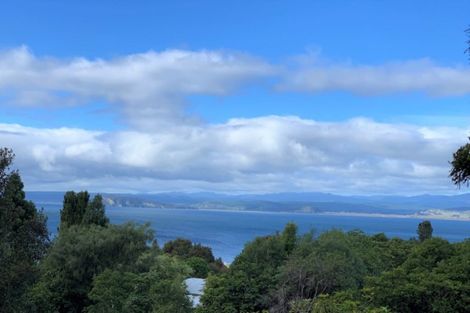 Photo of property in 68 Hauraki Terrace, Pukawa Bay, Turangi, 3381