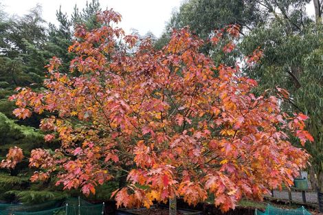 Photo of property in 286b Isaac Road, Eyrewell, Rangiora, 7476