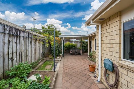 Photo of property in 81b Fourteenth Avenue, Tauranga South, Tauranga, 3112