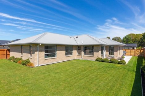 Photo of property in 19 Maeburn Street, Witherlea, Blenheim, 7201