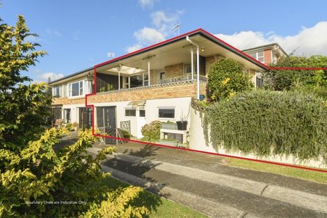 Photo of property in 1/24 Upland Street, Brookfield, Tauranga, 3110