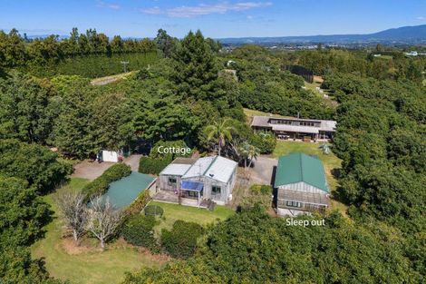 Photo of property in 463 State Highway, Tahawai, Katikati, 3170