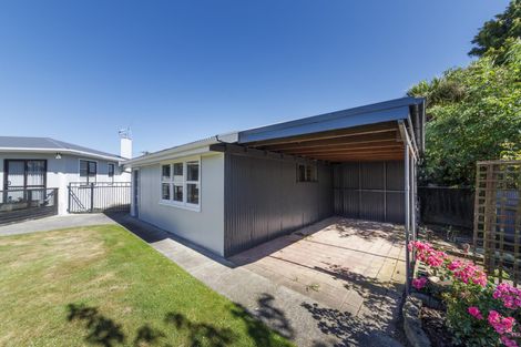Photo of property in 20 Hurley Place, Awapuni, Palmerston North, 4412