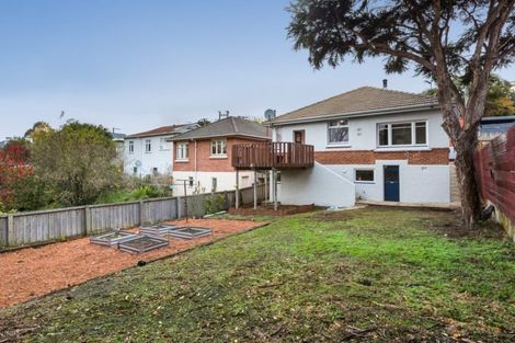 Photo of property in 41 Ventnor Street, Mornington, Dunedin, 9011