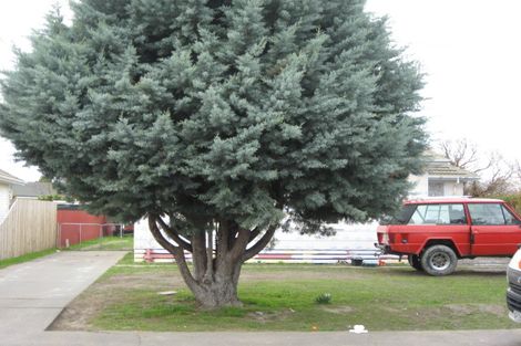 Photo of property in 907 Bledisloe Street, Raureka, Hastings, 4120