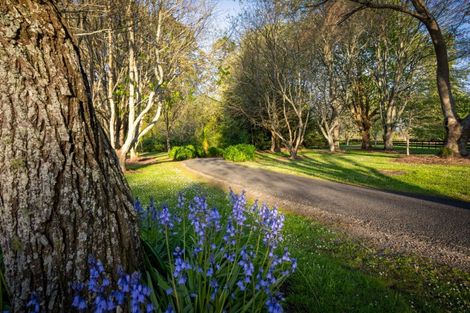 Photo of property in 110 Butcher Road, Matangi, Hamilton, 3284