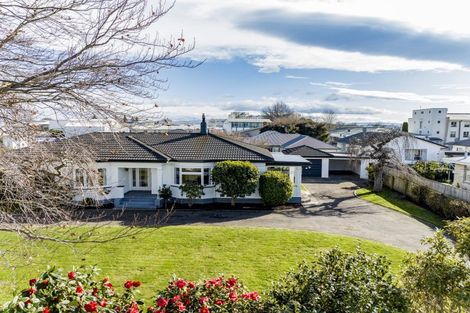 Photo of property in 115 Mcleod Street, Camberley, Hastings, 4120