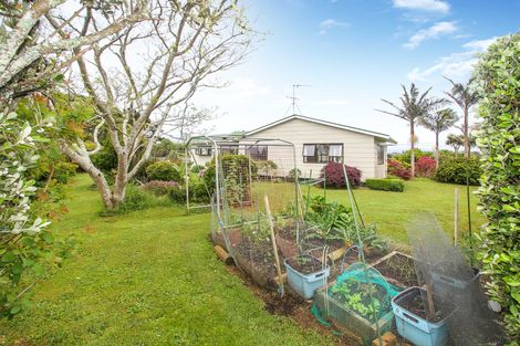 Photo of property in 20 Waipipi Wharf Road, Pollok, Waiuku, 2683