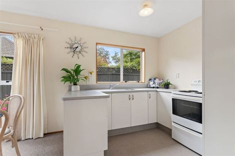 Photo of property in 2/12 Barrie Street, Addington, Christchurch, 8024