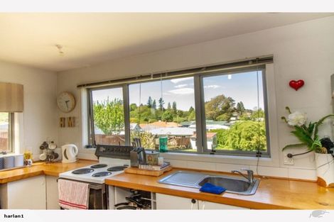 Photo of property in 1 Hukaroa Road, Raetihi, 4632