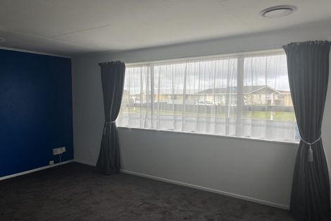 Photo of property in 63 Hinemoa Street, Levin, 5510