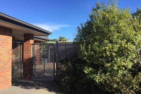 Photo of property in 24b Roker Street, Somerfield, Christchurch, 8024