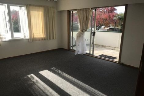 Photo of property in 8 Lynden Avenue, Hillcrest, Auckland, 0627