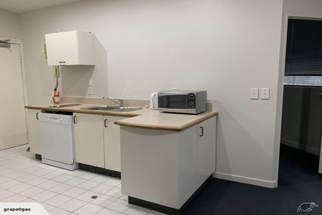 Photo of property in Regency Apartments, 2f/49 Manners Street, Te Aro, Wellington, 6011
