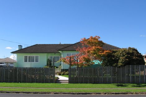 Photo of property in 4 Grey Street, Putaruru, 3411