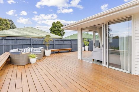 Photo of property in 56 Salisbury Street, Levin, 5510