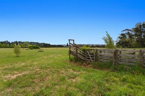 Photo of property in 198c Kawerau Road, Putauaki, Whakatane, 3192