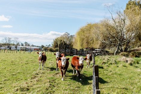 Photo of property in 2943 State Highway 30, Rotoma, Whakatane, 3192