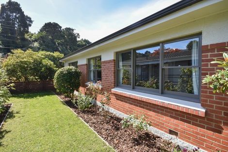 Photo of property in 325 Malvern Street, Glenleith, Dunedin, 9010