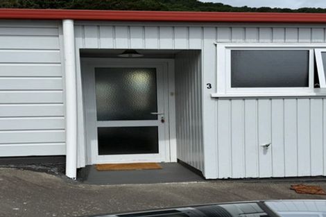 Photo of property in 87 Majoribanks Street, Mount Victoria, Wellington, 6011