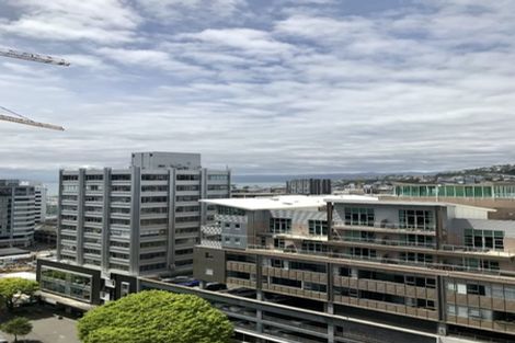 Photo of property in Vsp South, 1107/168 Victoria Street, Te Aro, Wellington, 6011