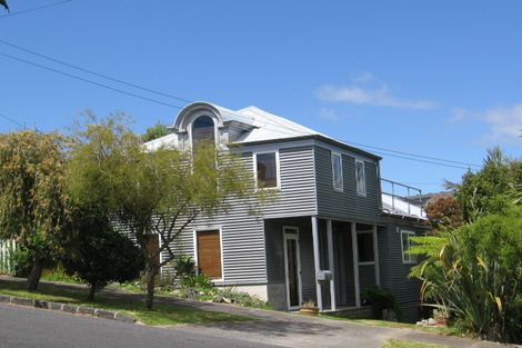 Photo of property in 4 Alexander Street, Kingsland, Auckland, 1021