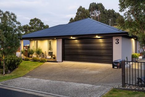 Photo of property in 3 Trudi Place, Green Island, Dunedin, 9018