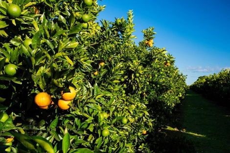 Photo of property in 54 Bruce Road, Ormond, Gisborne, 4071