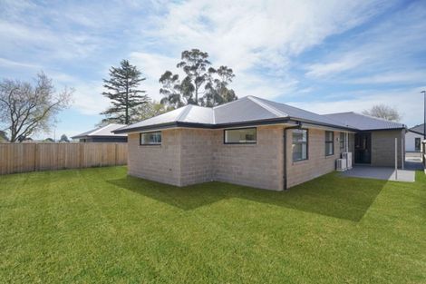 Photo of property in 31 Minerva Crescent, Woodend, 7610