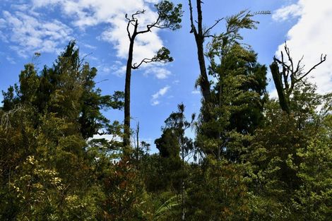 Photo of property in 76a Eco Place, Little Wanganui, Karamea, 7893