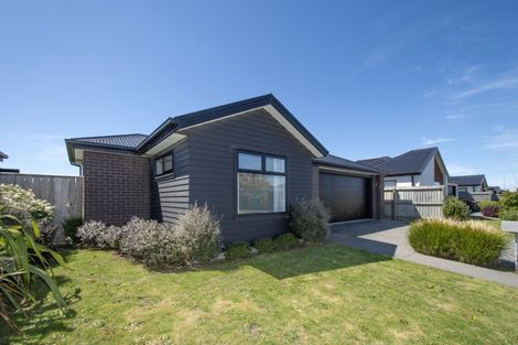 Photo of property in 55 William Nicholls Drive, Belfast, Christchurch, 8051