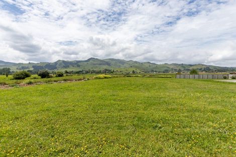 Photo of property in 12 Fern Rise, Paeroa, 3600