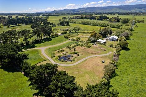 Photo of property in 151 Swamp Road, Te Horo, Otaki, 5581