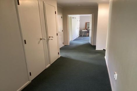 Photo of property in 58 Simla Avenue, Havelock North, 4130