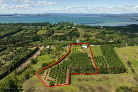 Photo of property in 63 Ongare Point Road, Tahawai, Katikati, 3170