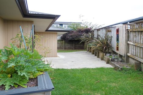 Photo of property in 20a Lincoln Terrace, Gate Pa, Tauranga, 3112