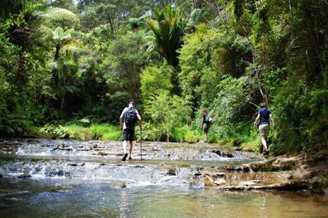 Photo of property in 14 Vogwill Road, Kumeu, 0810
