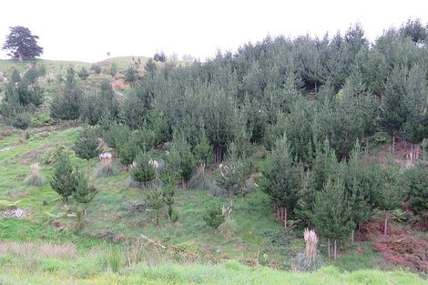 Photo of property in 289 Franklin Road, Paparoa, 0571