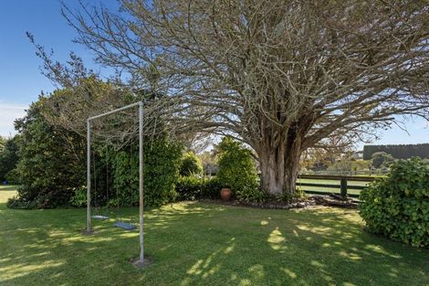 Photo of property in 96b Tablelands Road, Tirohanga, Opotiki, 3197